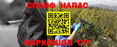 тгк Партизанск