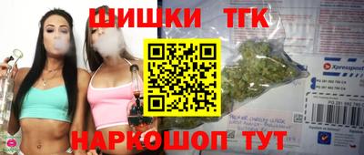 тгк Партизанск