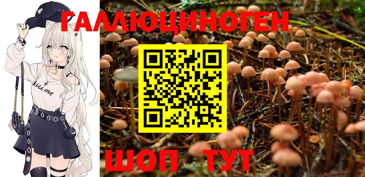Галлюциногенные грибы GOLDEN TEACHER  Вход с VPN  Сургут  Псилоцибиновые грибы MAGIC MUSHROOMS 