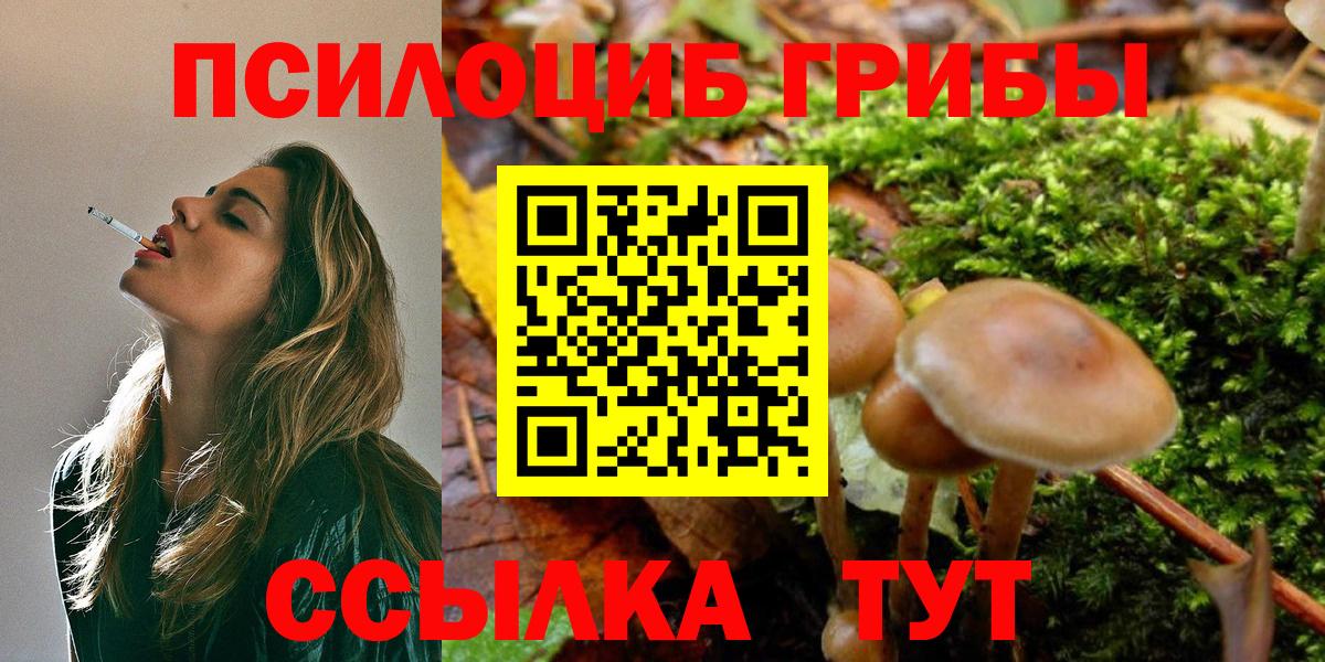 Псилоцибиновые грибы GOLDEN TEACHER Сургут